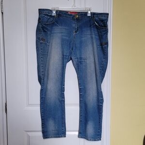 Apple Bottom jeans vintage 2000s Y2K distressed blue denim plus size 20